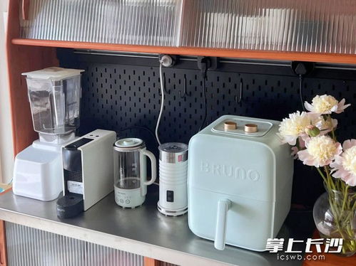 買(mǎi)得多用得少 小家電真香還是雞肋 家用電器